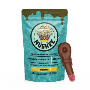 Magic Mushroom Sour Key Chocolate | Best Premium Psychedelic Shop