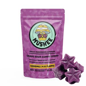 Magic Mushroom | Best Premium Psychedelic Shop