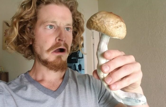 Mushrooms as Medicine? Psychedelics May Be Next Breakthrough Treatment